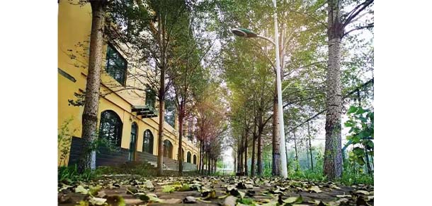 黑龍江民族職業(yè)學院 - 最美院校