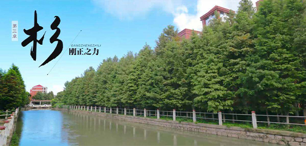 上海杉達學(xué)院 - 最美大學(xué)