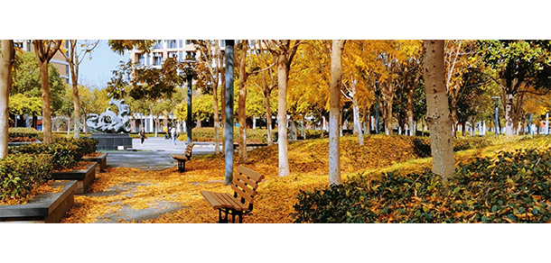 上海應用技術(shù)大學 - 最美大學