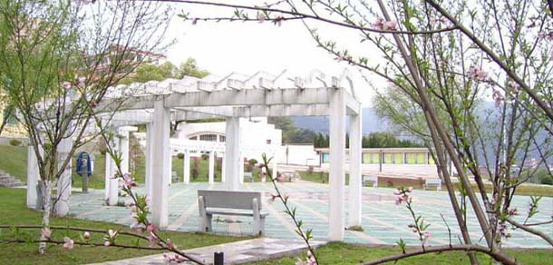 上海海事職業(yè)技術學院 - 最美大學
